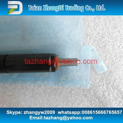 China Inyector común auténtico EJBR03001D/33800-4X900/33801-4X900 del carril de Delphi para el BONGO proveedor