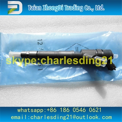 China Inyector común original y nuevo 0445110273 de Bosch del carril de combustible para IVECO, FIAT 504088755, NUEVA HOLANDA 504377671 proveedor