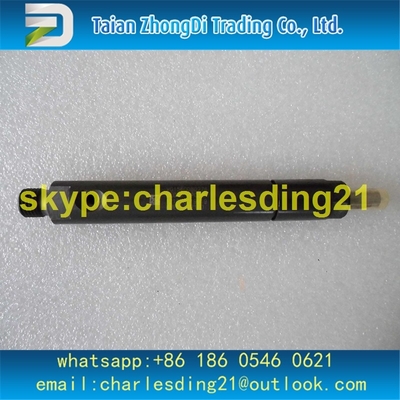 China Inyector de combustible original y nuevo de las piezas del motor de Weichai 61560080276 proveedor