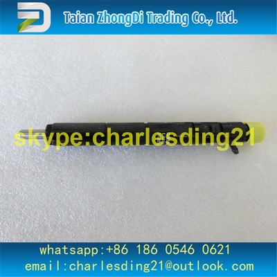 China Los ajustes comunes ORIGINALES Y NUEVOS EJBR03301D/33800-4X900/1112100TAR de DELPHI del carril del inyector para JMC transitan 2.8L el euro III proveedor