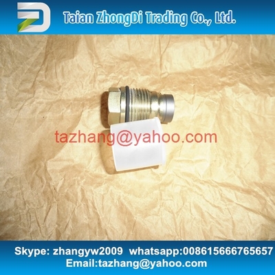 China Válvula de descarga de presión auténtica de BOSCH 1110010015/1 110 010 015 proveedor