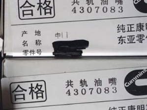 China CUMMINS equipa con inyector 4307083, P5461846FSW, 5406060 originales y a estrenar proveedor