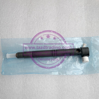 China Inyector común auténtico del carril de DELPHI 28489548/25195089, 28264951/25183186 proveedor