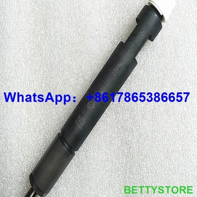 China Inyector común auténtico y nuevo del carril 04286251/0428-6251/0428 6251 proveedor