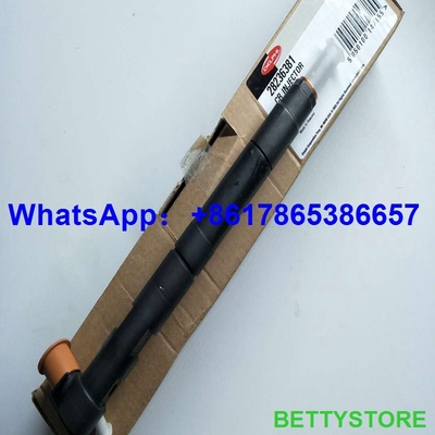 China Inyector común del carril 28236381/33800-4A700 del INYECTOR de DELPHI 28236381/338004A700 para HYUNDAI Starex proveedor