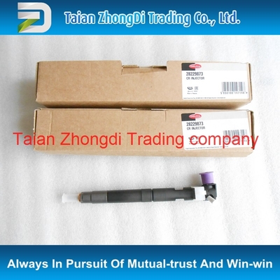 China Inyector común del carril de la original de DELPHI 28229873/338004A710/33800-4A710 para KIA/STAREX proveedor