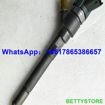 China inyector común vendedor caliente 0445110253 del carril del precio especial del bosch proveedor