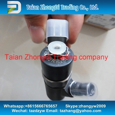 China Inyector común 0445110307, 0 445 110 307, 0445 110 307 del carril de BOSCH proveedor