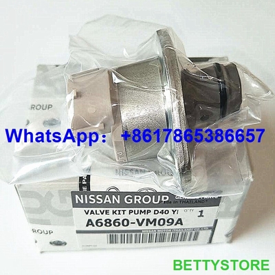 China Equipos auténticos de la revisión 294200-0360 294009-0250 para MITSUBISHI 1460A037, NISSAN A6860-VM09A proveedor