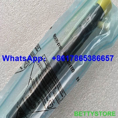 China Inyector EJBR02801D, EJBR01901Z, EJBR02301Z de DELPHI para HYUNDAI 33800-4X500/33801-4X500/33801-4X510/338014X500/338014X510 proveedor