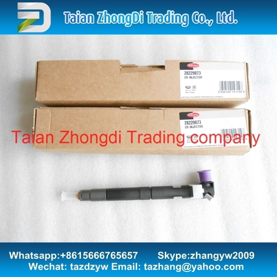 Inyector común 28229873 del carril de la original de Delphi para 33800-4A710, euro IV HYUNDAI Starex 2. del bongo 3 WGT 2.5L de 338004A710 KIA. proveedor
