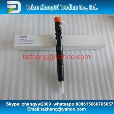 Inyector común auténtico EJBR03701D 33801-4X810, 33800-4X800 EJBR02901D del carril de Delphi proveedor