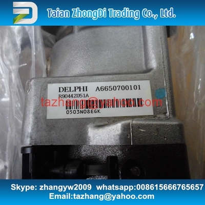 Traje REXTON A6650700101/A6650700401 del surtidor de gasolina de Delphi R9044Z051A/R9044Z162A proveedor