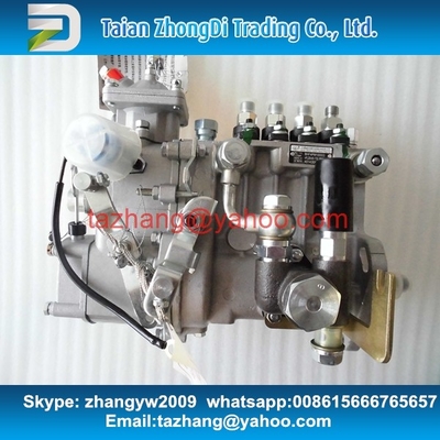 Surtidor de gasolina original de WEIFU BHF4PM100003 para 4D32-09 proveedor