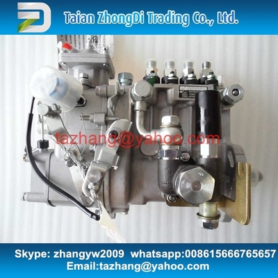 Surtidor de gasolina original de WEIFU BHF4PM100003 para 4D32-09 proveedor