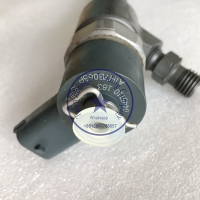 Inyector común 0445110183, 0 445 110 183 del carril de BOSCH proveedor
