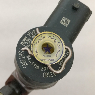 Inyector común 0445110291, 0 445 110 291 del carril de BOSCH proveedor