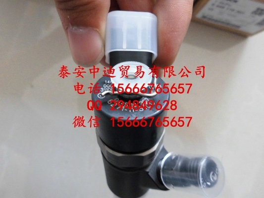 Inyector común 0445110307, 0 445 110 307 del carril de BOSCH proveedor