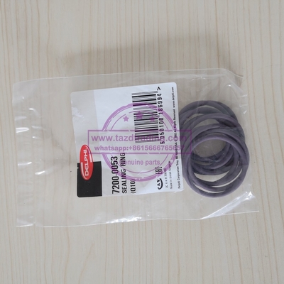 Anillo original y nuevo 7200-0053 de Delphi de cierre proveedor