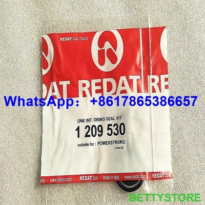 equipo de reparación original de REDAT 1 209 530 1209530 proveedor