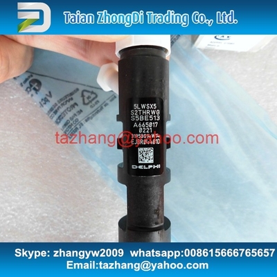 Inyector EJBR04401D, R04401D de DELPHI para SSANGYONG A6650170221, 6650170221 proveedor