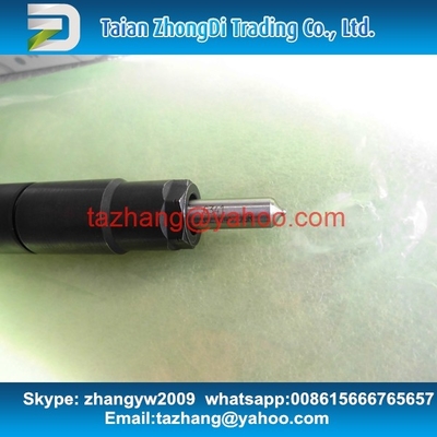 Inyector común EMBR00301D, inyector 6710170121 A6710170121 del carril de DELPHI EMBR00301D de R00301D SSANGYONG Korando proveedor