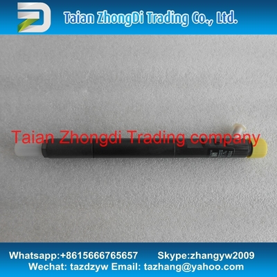 Inyector EJBR04901D, R04901D, 28280600, 27890116101 TML 2.2L E4 del CR de EJBR04901D DELPHI proveedor