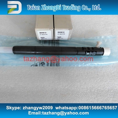 Inyector común EJBR04401D del carril de EJBR04401D DELPHI para SSANGYONG A6650170221, 6650170221 proveedor