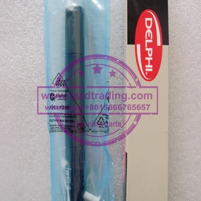 Inyector EJBR04701D EJBR03401D del INYECTOR EJBR04701D DELPHI para SSANGYONG A6640170221 A6640170021,6640170221 proveedor