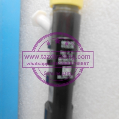 Inyector EJBR04901D, R04901D, 28280600, 27890116101 TML 2.2L E4 del CR de EJBR04901D DELPHI proveedor