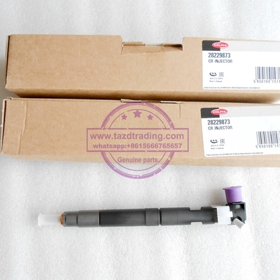 DELPHI 28229873/33800-4A710 auténticos y nuevo inyector común del carril 28229873/33800-4A710/338004A710 para HYUNDA KIA proveedor