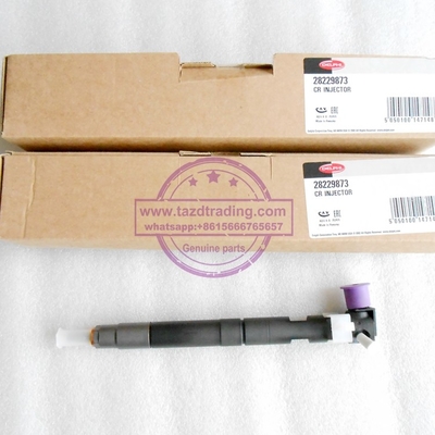 Inyector común auténtico y nuevo de DELPHI del carril 28229873/33800-4A710 para HYUNDA KIA proveedor