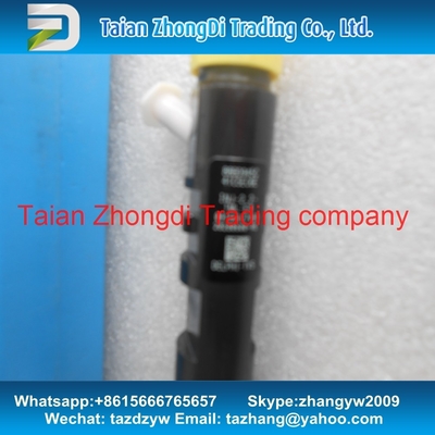 Inyector EJBR04901D, R04901D, 28280600, 27890116101 TML 2.2L E4 del CR de DELPHI proveedor