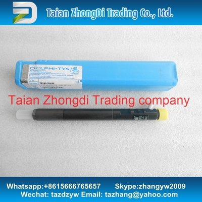Inyector EJBR04901D, R04901D, 28280600, 27890116101 TML 2.2L E4 del CR de DELPHI proveedor