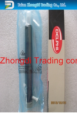 Inyector común auténtico y nuevo EJBR06101D de DELPHI del carril para YUCHAI 2,5 4F FB3001112100011 proveedor