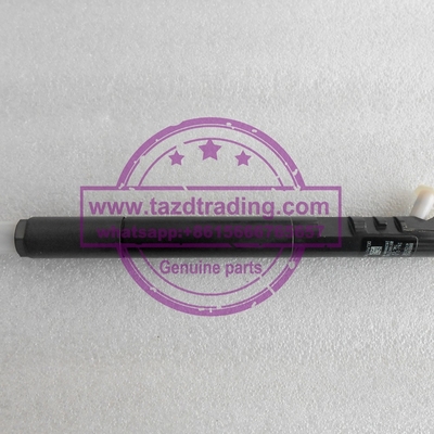 Inyector EJBR04901D, R04901D, 28280600, 27890116101 TML 2.2L E4 del CR de EJBR04901D DELPHI proveedor