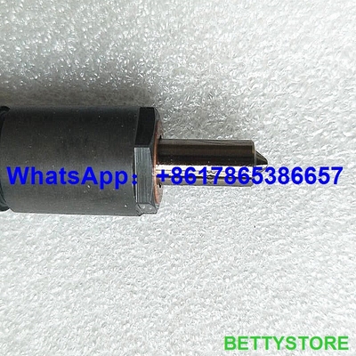 Inyector común auténtico y nuevo del carril 04286251/0428-6251/0428 6251 proveedor