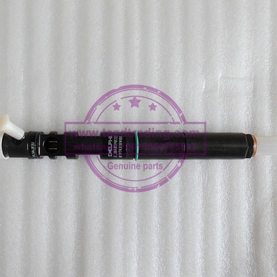 Inyector común EJBR03902D EJBR03901D del carril de DELPHI para el euro IV 33800-4X400 del carnaval de KIA proveedor