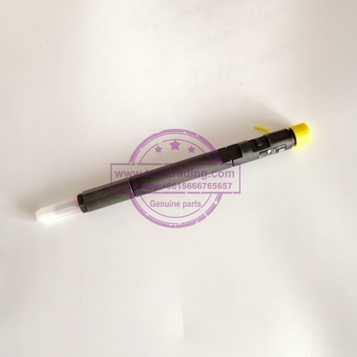 Inyector común auténtico y nuevo EJBR04201D de DELPHI del carril para el Benz OM646 A6460700987 de Mercedes proveedor
