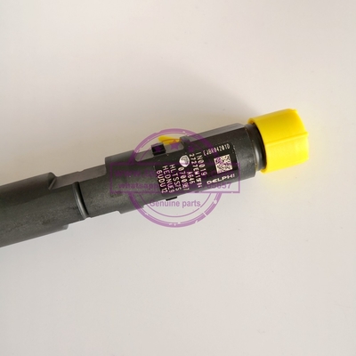 Inyector común auténtico y nuevo EJBR04201D de DELPHI del carril para el Benz OM646 A6460700987 de Mercedes proveedor