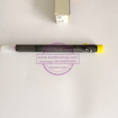 Inyector común auténtico y nuevo EJBR04201D de DELPHI del carril para el Benz OM646 A6460700987 de Mercedes proveedor
