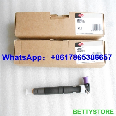 DELPHI 28229873/33800-4A710 auténticos y nuevo inyector común del carril 28229873/33800-4A710/338004A710 para HYUNDA KIA proveedor