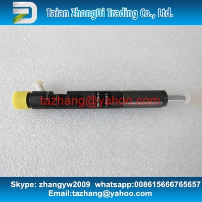 Inyector común EJBR05301D del carril de la original de DELPHI para YUCHAI F50001112100011 proveedor