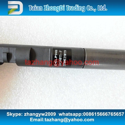 Inyector común EJBR05301D del carril de la original de DELPHI para YUCHAI F50001112100011 proveedor