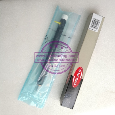 El inyector común EJBR03301D del carril de DELPHI para el tránsito 2.8L/Jiangling de JMC viaja en automóvili proveedor