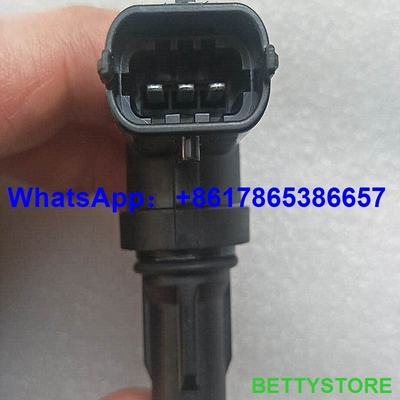 Sensor original 0281002667/0 281 002 667 del árbol de levas para la Gran Muralla proveedor