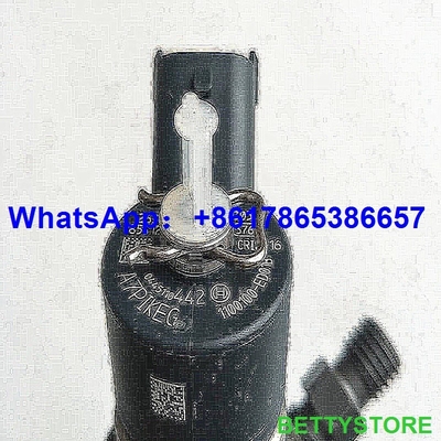 BOSCH 0 445 110 442 auténticos y nuevo inyector común del carril 0445110442/0445110443 para la libración de la Gran Muralla proveedor
