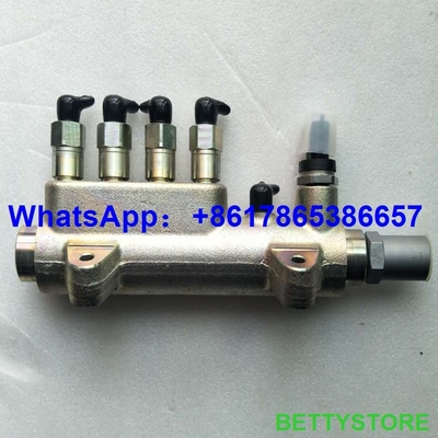 Carril común original y nuevo 0 445 224 016,0445224016 para ME228861 proveedor