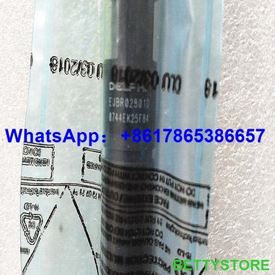 Inyector EJBR02801D, EJBR01901Z, EJBR02301Z de DELPHI para HYUNDAI 33800-4X500/33801-4X500/33801-4X510/338014X500/338014X510 proveedor
