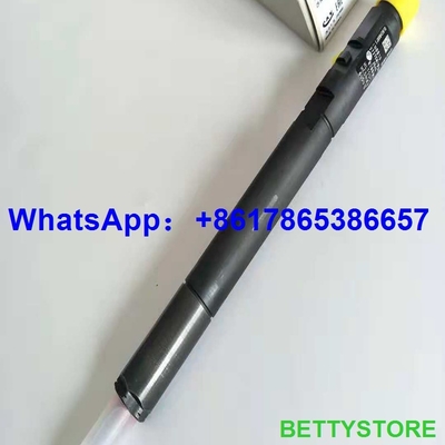 Inyector común EJBR04201D, R04201D del carril de DELPHI para el Benz A6460700987 de Mercedes proveedor